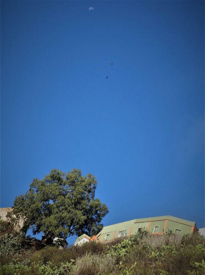 Camino Art House Daire Vega de San Mateo Dış mekan fotoğraf
