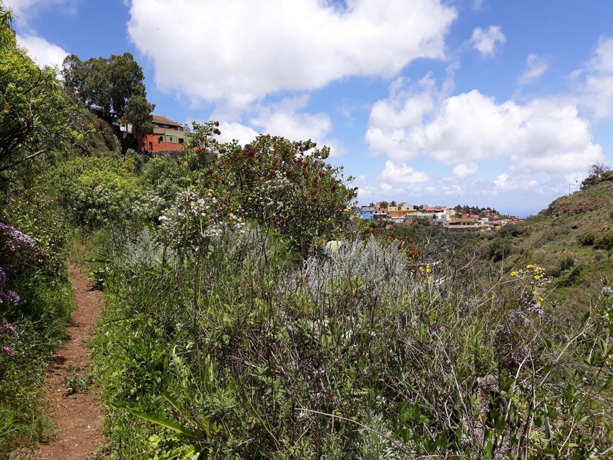 Camino Art House Daire Vega de San Mateo Dış mekan fotoğraf